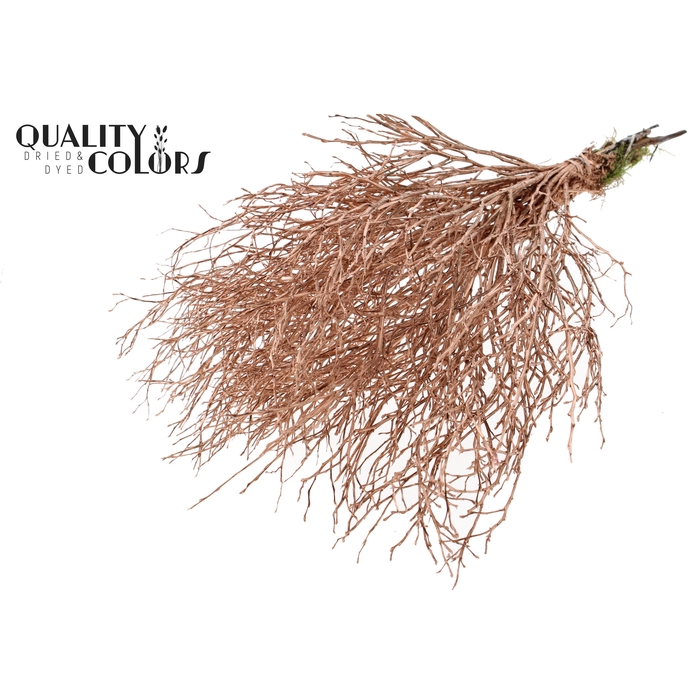 <h4>Huckelberry per bunch Copper</h4>