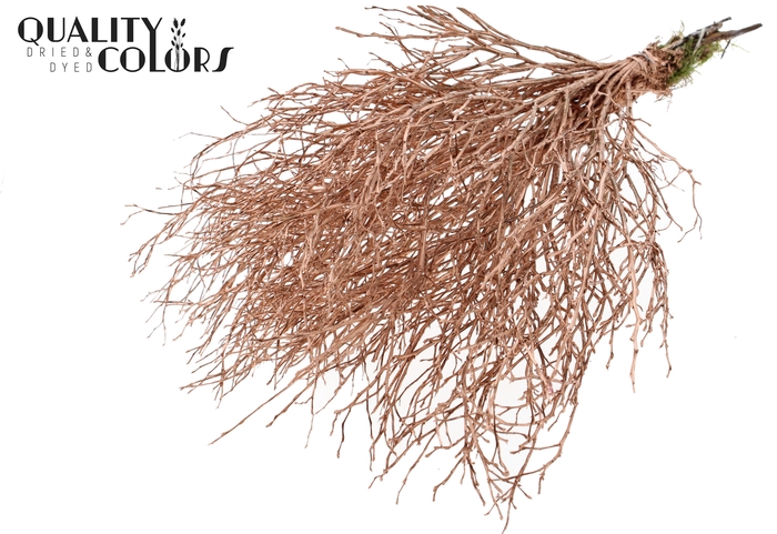 Huckelberry per bunch Copper