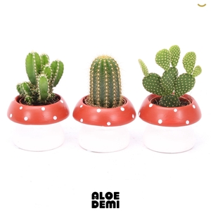 CACTUS GEM