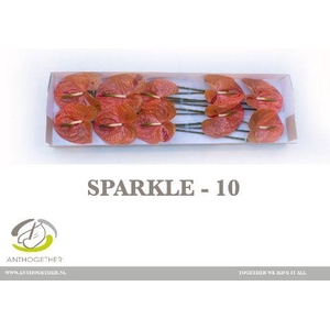 ANTH A SPARKLE