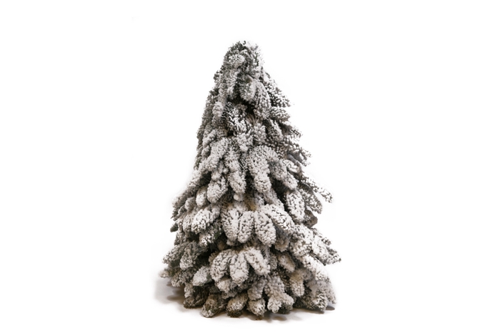 <h4>Kerstboom Snow</h4>