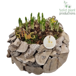 DRTE011 Driftwood White Washed Round Tête-á-Tête