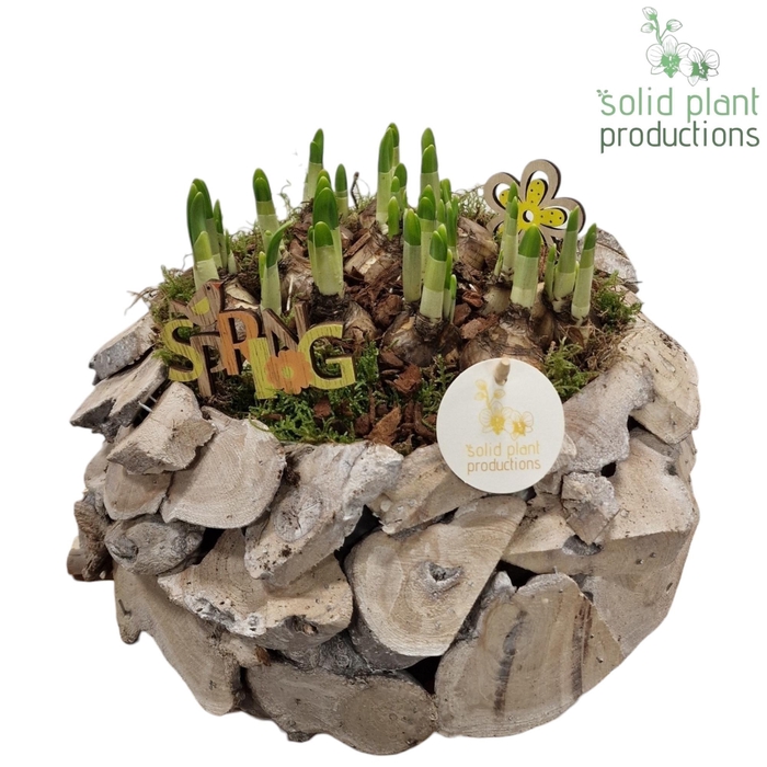 <h4>DRTE011 Driftwood White Washed Round Tête-á-Tête</h4>