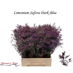LIM SAF DARK BLUE