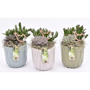 Keramiek sierpot klmix 13cm