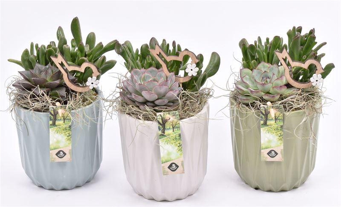 <h4>Keramiek sierpot klmix 13cm</h4>