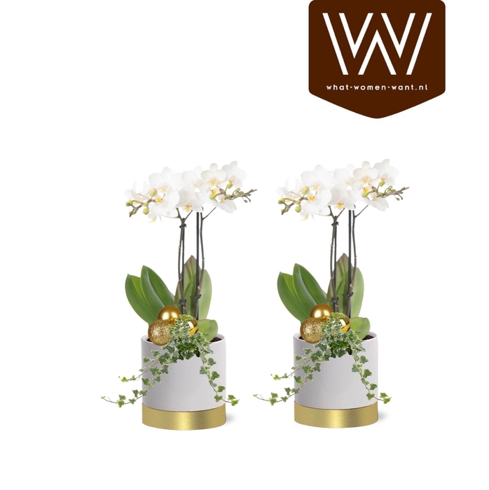 <h4>Collectie "Top Blend" kerst arrangement in keramiek Emma</h4>