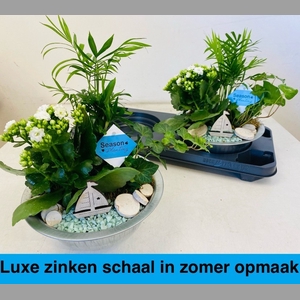 ARR KAMERPL