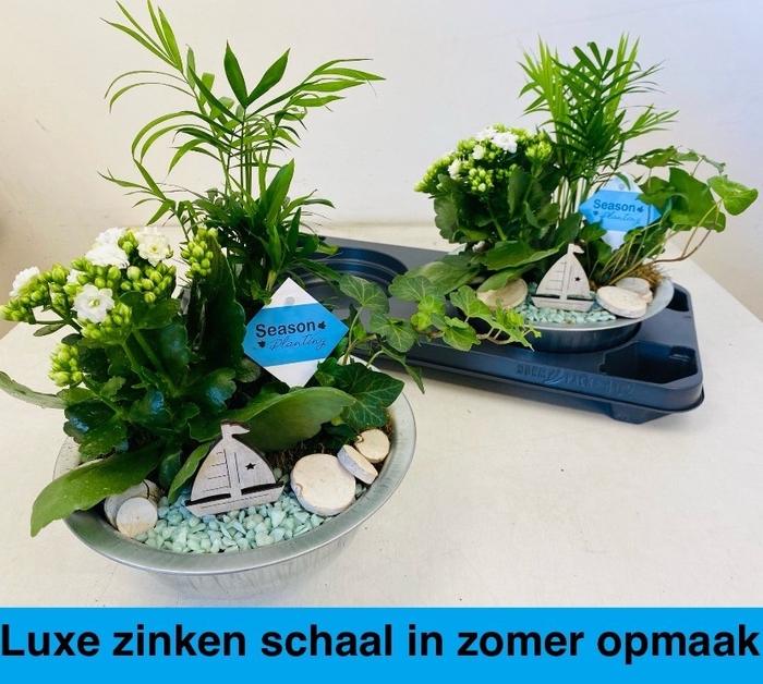 <h4>ARR KAMERPL</h4>