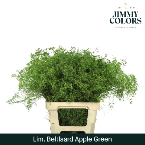 <h4>Lim Bel L70 Apple green</h4>
