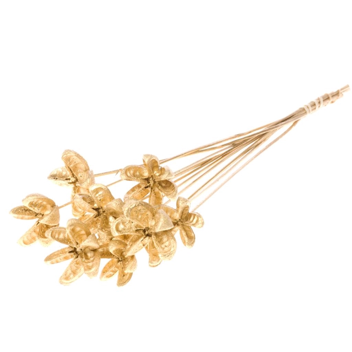 <h4>Cartoos Flower O/s Gold</h4>