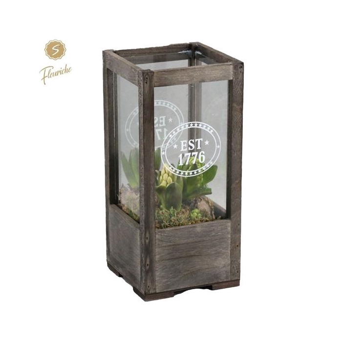 <h4>(7701) Hyacint Lantern Wood [M] 3PP Mos</h4>