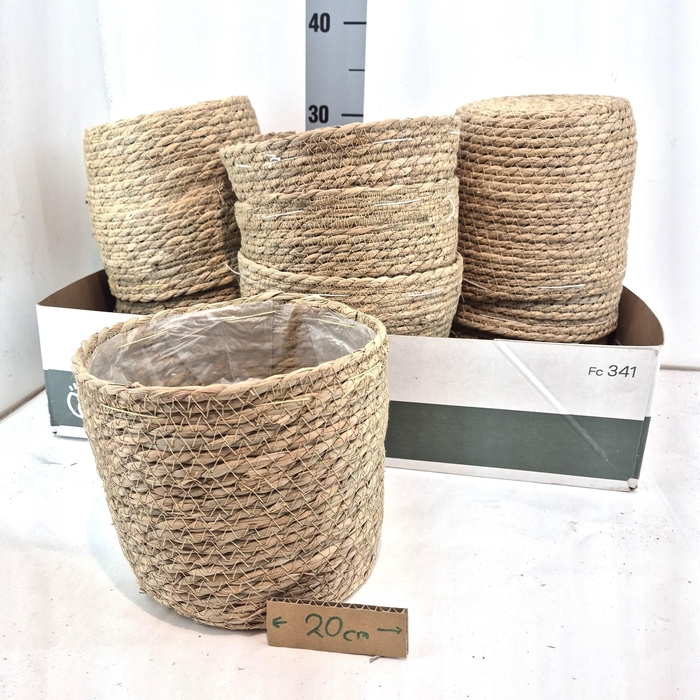 <h4>MANDWERK H%</h4>