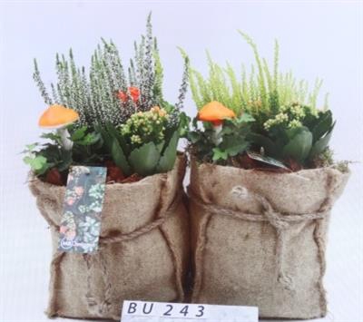 <h4>BU243 XL JUTE ZAK BUITEN</h4>