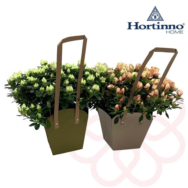 <h4>Hortinno® Home 'draagtas'</h4>