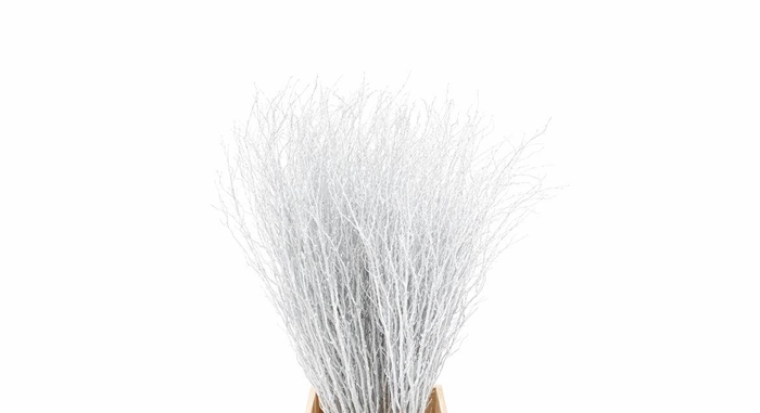 <h4>Berk 70cm Gl Wit Pbs</h4>