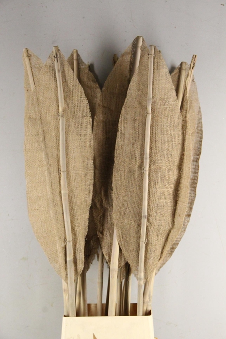 DF Leaf Bamboo Rib 180cm L.Nat