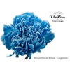 DI ST BLUE LAGOON