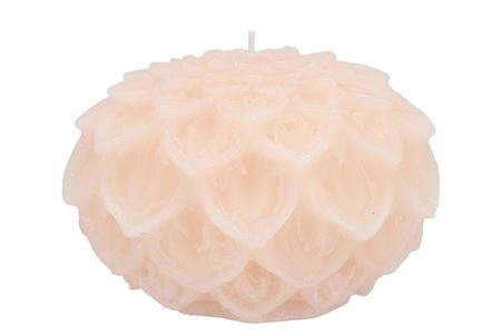 <h4>CANDLE DAHLIA IVORY 15X10CM</h4>