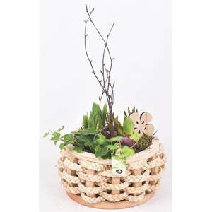 Hout rond met touw 20cm