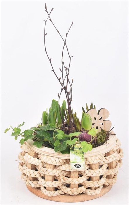 <h4>Hout rond met touw 20cm</h4>