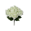 Bunch Bougainvillea L46W24H24