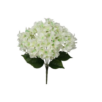 Bunch Bougainvillea L46W24H24