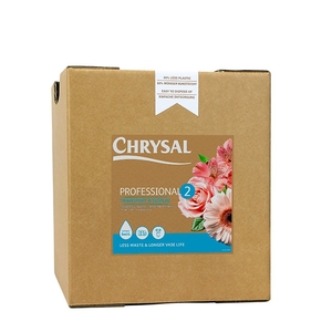 Care Chrysal Prof.2 Conc.liquid 10L