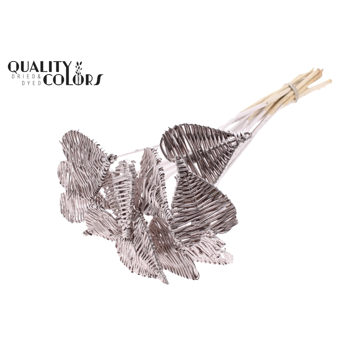 <h4>Lata Heart 8cm on stem Hat type Champagne</h4>