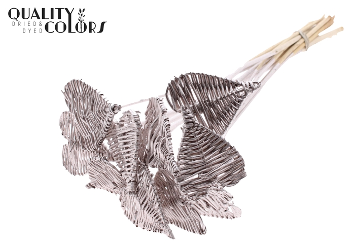 Lata Heart 8cm on stem Hat type Champagne