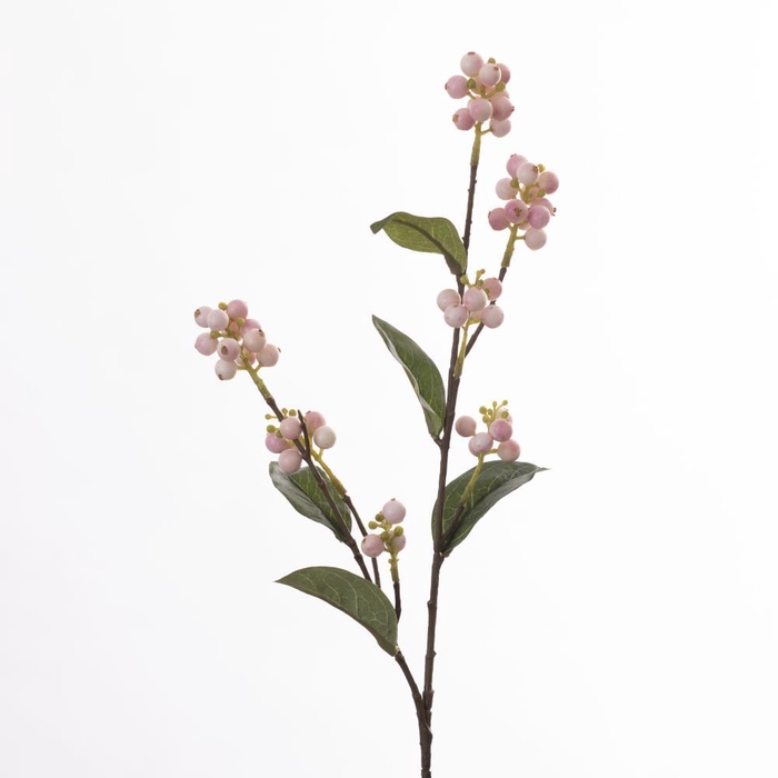 <h4>AF Symphoricarpos L71cm Pink</h4>