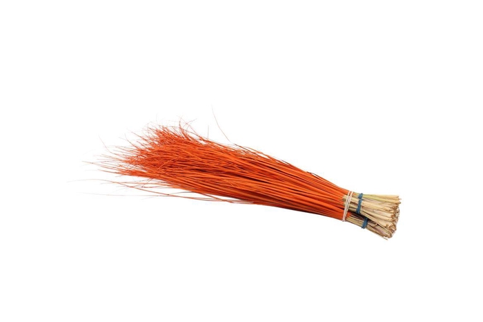 <h4>Beargrass Orange</h4>