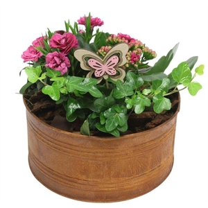 4688  SCHAAL ROEST DIANT