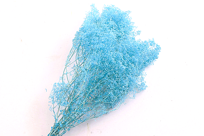 <h4>Gypsophila Preserved Blue</h4>