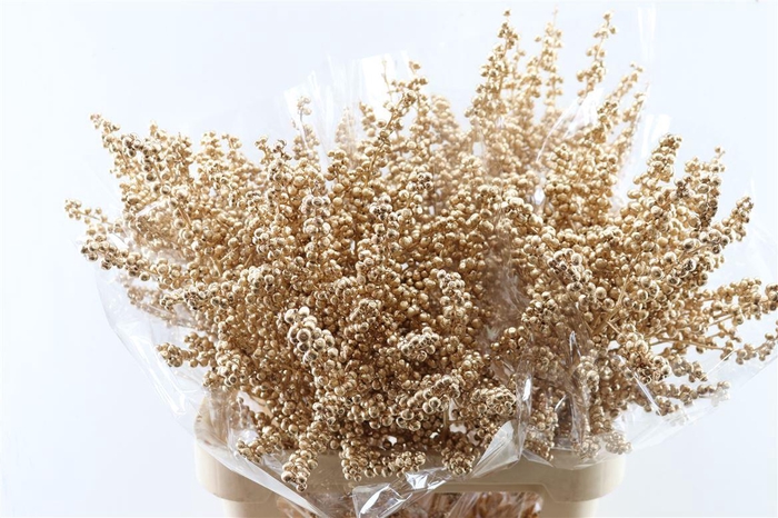 <h4>Ilex Klbh Antique Gold Stem</h4>