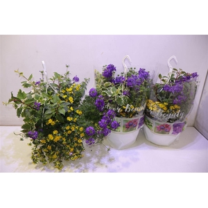 arr8 Perkpl Toef 4 Kl