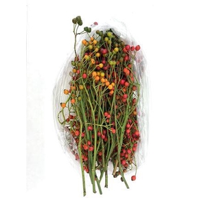 Rosa Corallo Sac Red Rosso