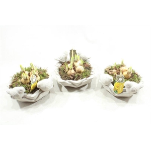 2433 DRINKSCHAAL TETE