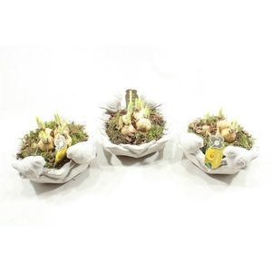 0112 DRINKSCHAAL TETE