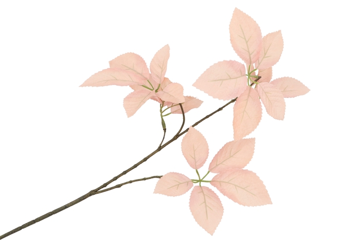 Silk Leaf Elder Champagne 81cm