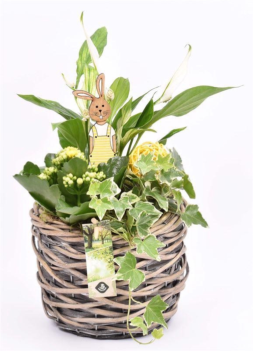 <h4>Wilg mand grijs 18cm</h4>