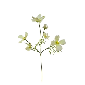 AF Cosmos spray L60cm wh/gr