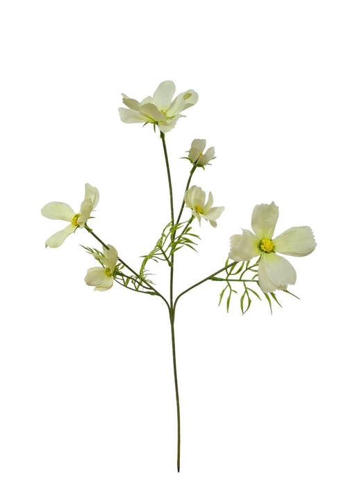 <h4>AF Cosmos spray L60cm wh/gr</h4>