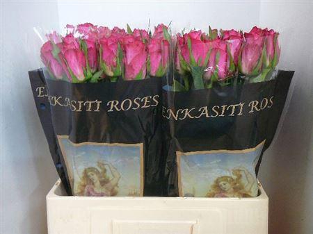 <h4>R Gr Candidate!</h4>