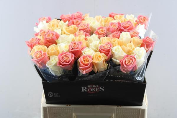 <h4>Adventskrans 30 Cm 1/2</h4>