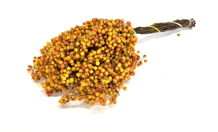 Pepperberries per bunch in poly Yellow