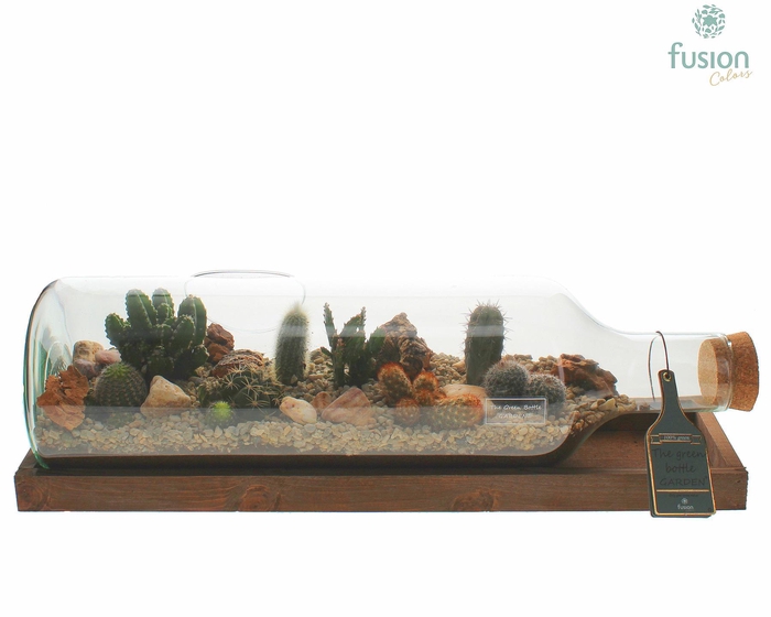 <h4>Green Bottle Fles Large liggend met Cactussen</h4>