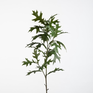 AF Oak Leaf Spray L75cm Green