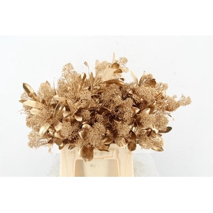 Skim Antique Gold per bunch