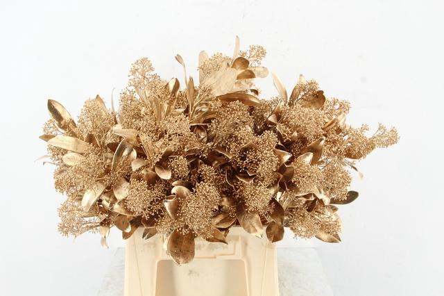 <h4>Skim Antique Gold per bunch</h4>
